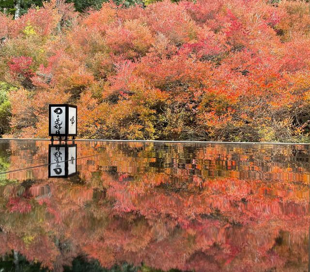 紅葉を見に行きました