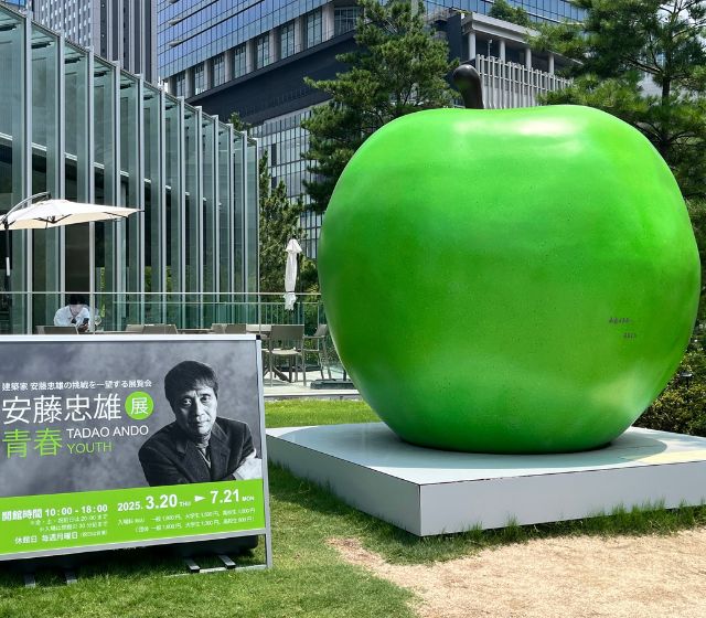 安藤忠雄展　-青春-