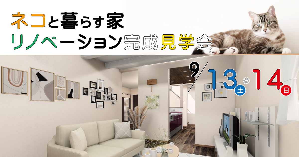 ネコと暮らす家　リノベーション完成見学会　※予約なしOK