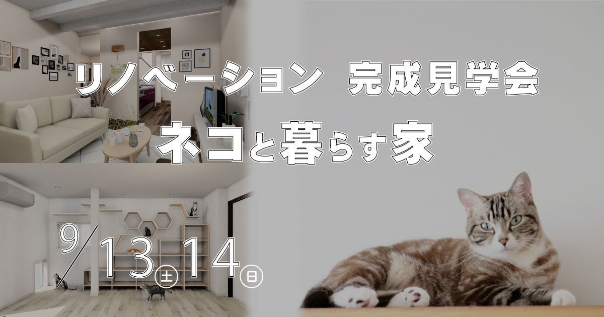 ネコと暮らす家　リノベーション完成見学会　※予約なしOK